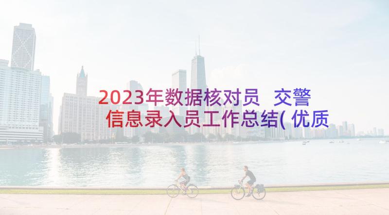 2023年数据核对员 交警信息录入员工作总结(优质9篇)