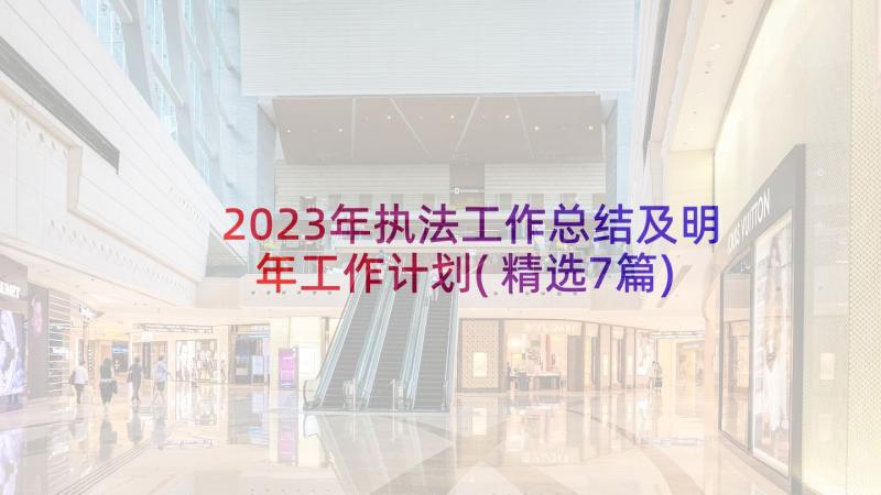 2023年执法工作总结及明年工作计划(精选7篇)