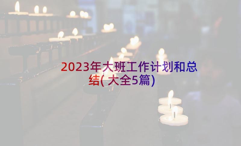 2023年大班工作计划和总结(大全5篇)