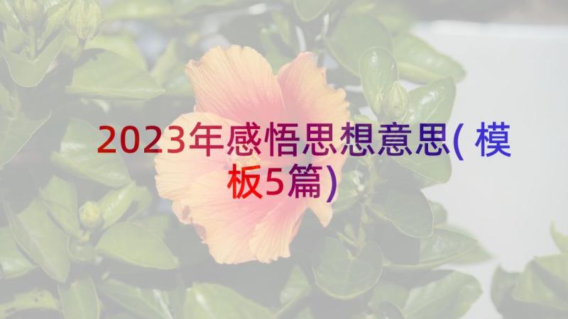 2023年感悟思想意思(模板5篇)