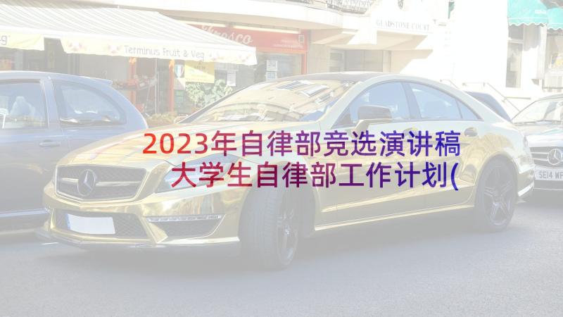 2023年自律部竞选演讲稿 大学生自律部工作计划(汇总5篇)