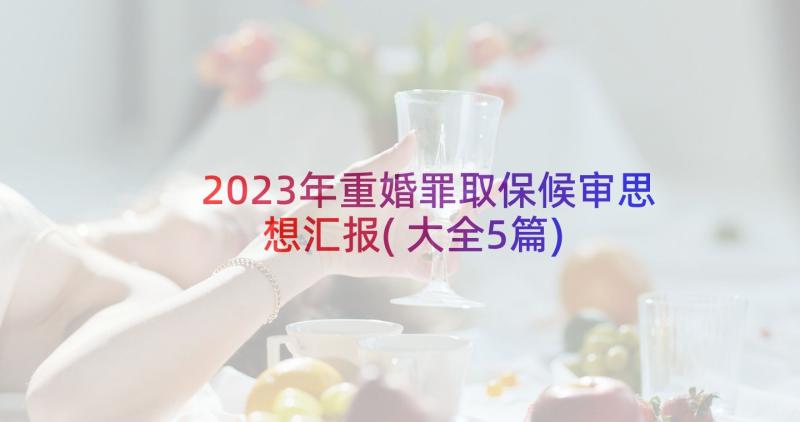 2023年重婚罪取保候审思想汇报(大全5篇)