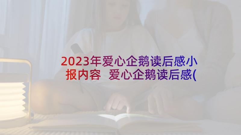 2023年爱心企鹅读后感小报内容 爱心企鹅读后感(通用10篇)