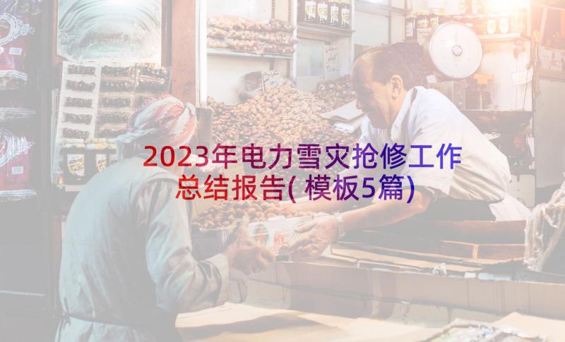 2023年电力雪灾抢修工作总结报告(模板5篇)