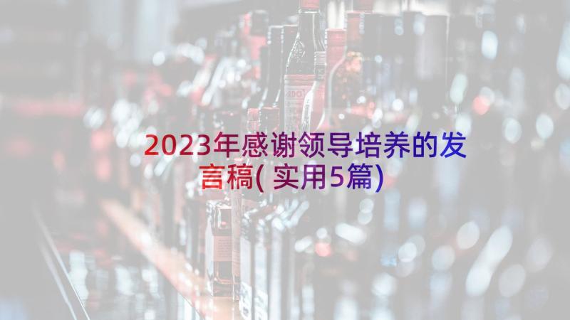 2023年感谢领导培养的发言稿(实用5篇)