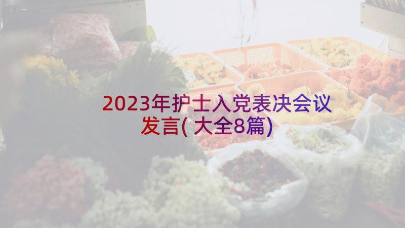 2023年护士入党表决会议发言(大全8篇)