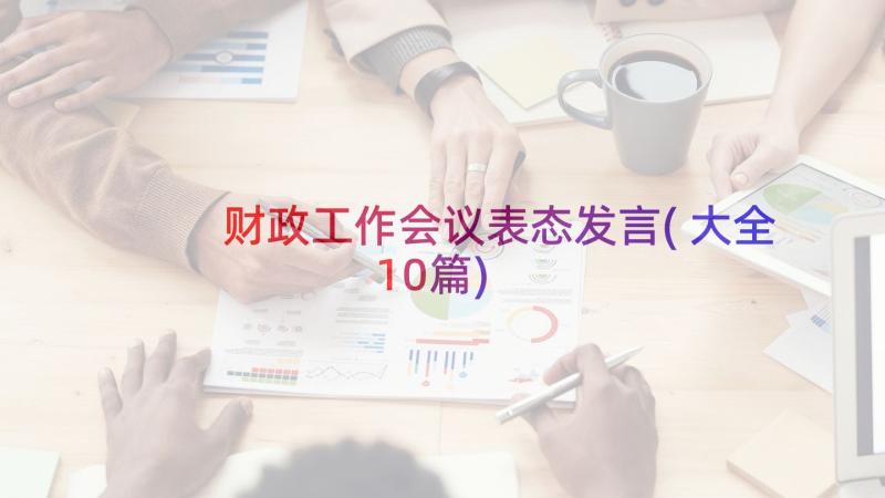 财政工作会议表态发言(大全10篇)