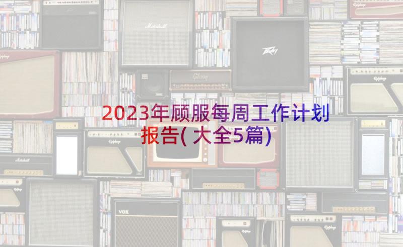 2023年顾服每周工作计划报告(大全5篇)