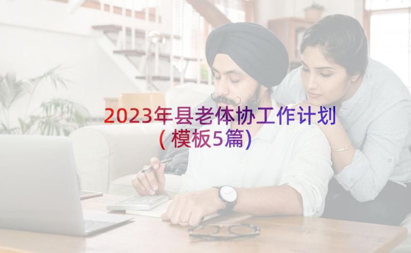 2023年县老体协工作计划(模板5篇)