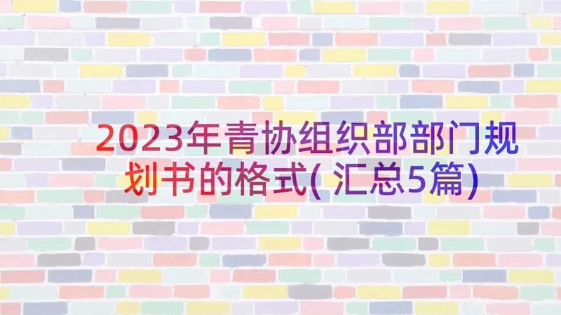 2023年青协组织部部门规划书的格式(汇总5篇)