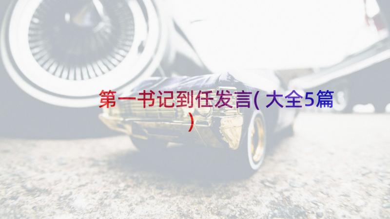 第一书记到任发言(大全5篇)