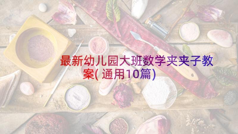 最新幼儿园大班数学夹夹子教案(通用10篇)