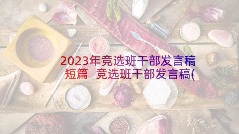 2023年竞选班干部发言稿短篇 竞选班干部发言稿(大全9篇)