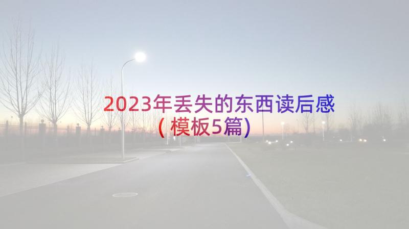 2023年丢失的东西读后感(模板5篇)