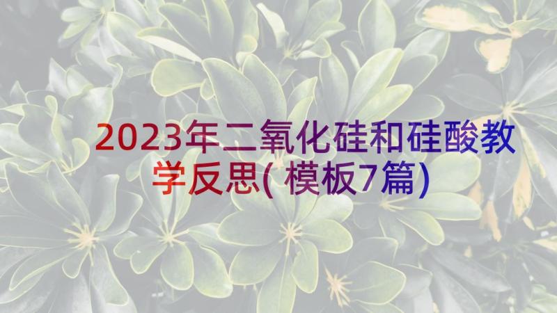 2023年二氧化硅和硅酸教学反思(模板7篇)