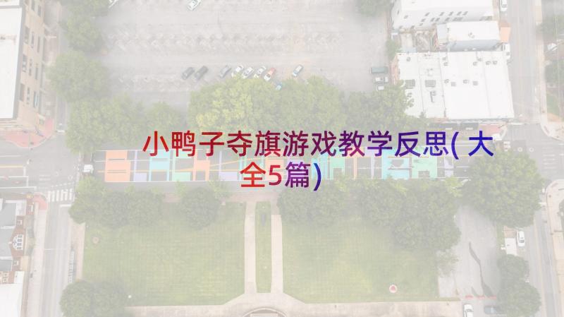 小鸭子夺旗游戏教学反思(大全5篇)