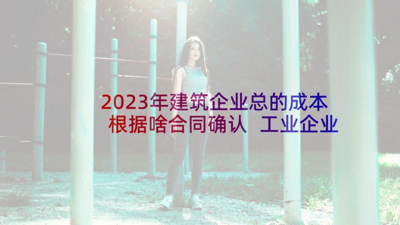 2023年建筑企业总的成本根据啥合同确认 工业企业项目合同(汇总6篇)