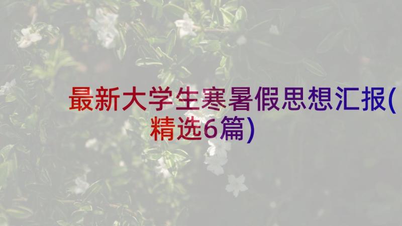 最新大学生寒暑假思想汇报(精选6篇)