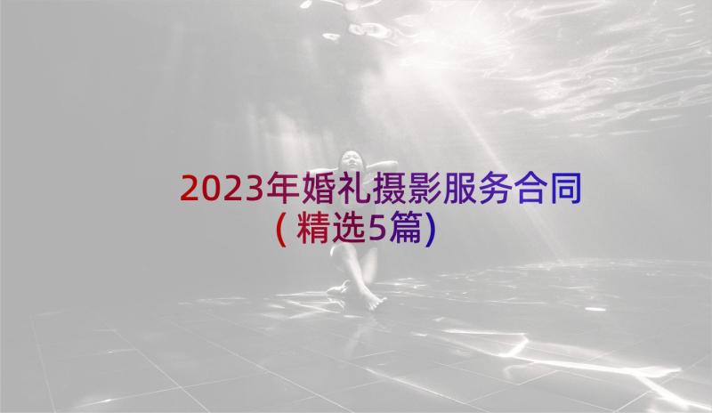 2023年婚礼摄影服务合同(精选5篇)