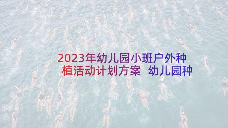 2023年幼儿园小班户外种植活动计划方案 幼儿园种植活动计划(通用5篇)