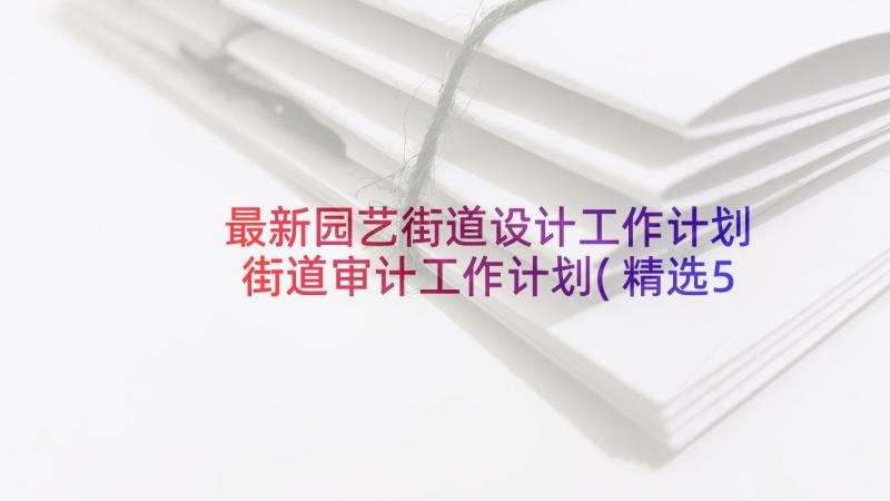 最新园艺街道设计工作计划 街道审计工作计划(精选5篇)