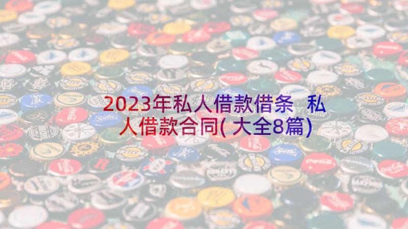 2023年私人借款借条 私人借款合同(大全8篇)