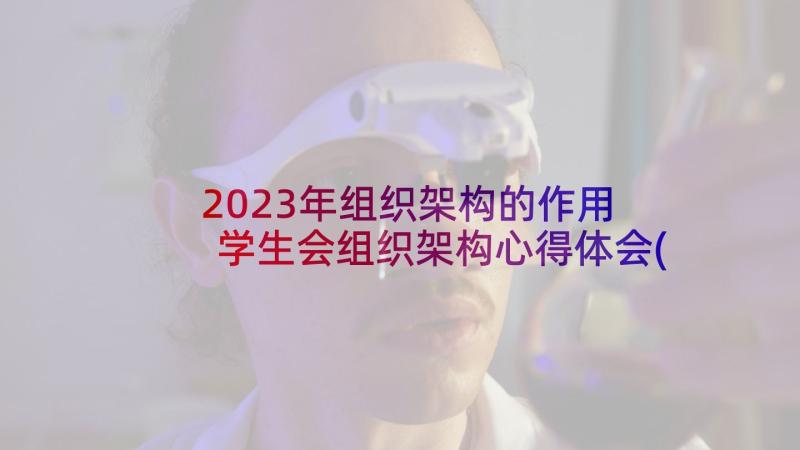 2023年组织架构的作用 学生会组织架构心得体会(实用7篇)