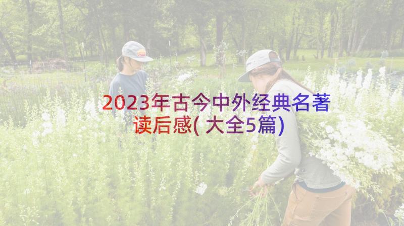 2023年古今中外经典名著读后感(大全5篇)