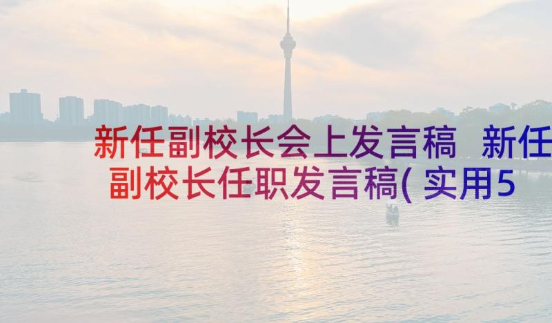 新任副校长会上发言稿 新任副校长任职发言稿(实用5篇)