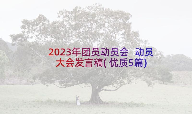 2023年团员动员会 动员大会发言稿(优质5篇)