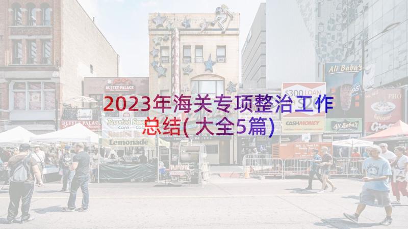 2023年海关专项整治工作总结(大全5篇)