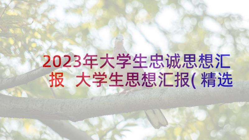 2023年大学生忠诚思想汇报 大学生思想汇报(精选7篇)