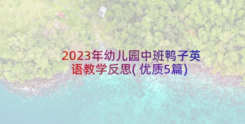 2023年幼儿园中班鸭子英语教学反思(优质5篇)