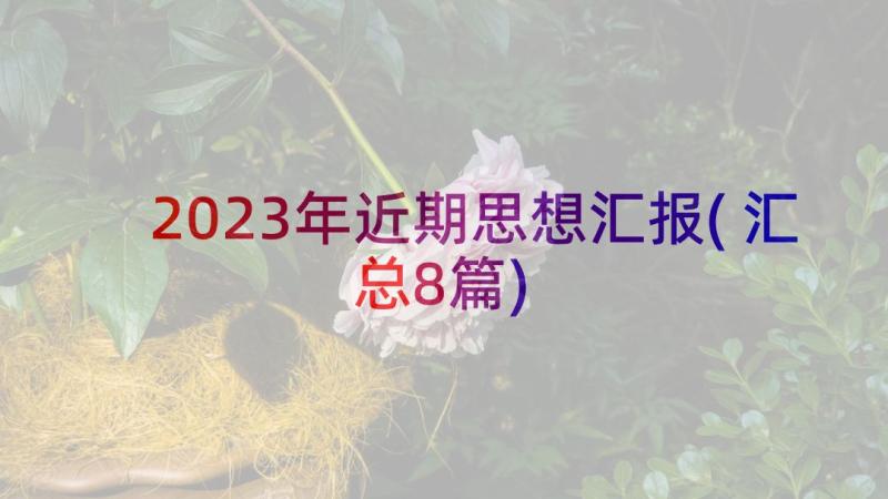 2023年近期思想汇报(汇总8篇)