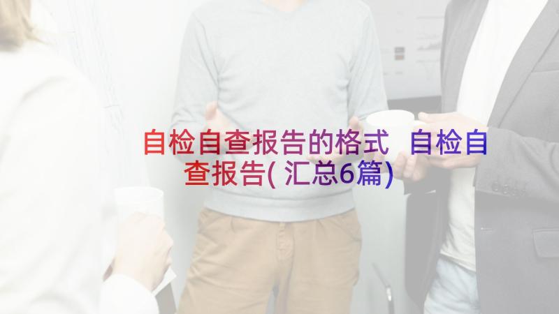 自检自查报告的格式 自检自查报告(汇总6篇)