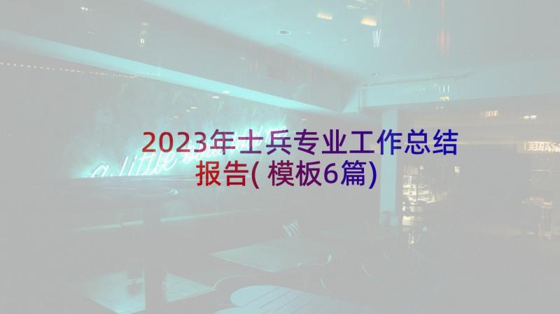 2023年士兵专业工作总结报告(模板6篇)