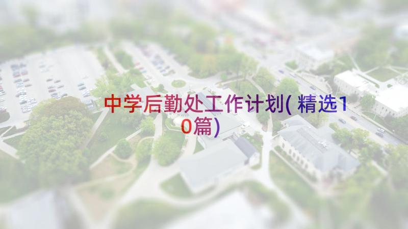 中学后勤处工作计划(精选10篇)