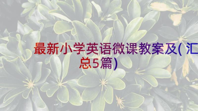 最新小学英语微课教案及(汇总5篇)