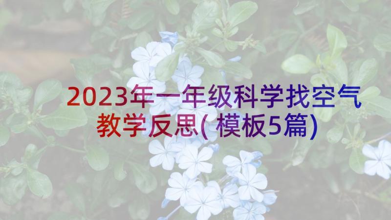 2023年一年级科学找空气教学反思(模板5篇)