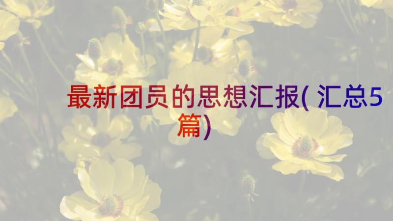 最新团员的思想汇报(汇总5篇)