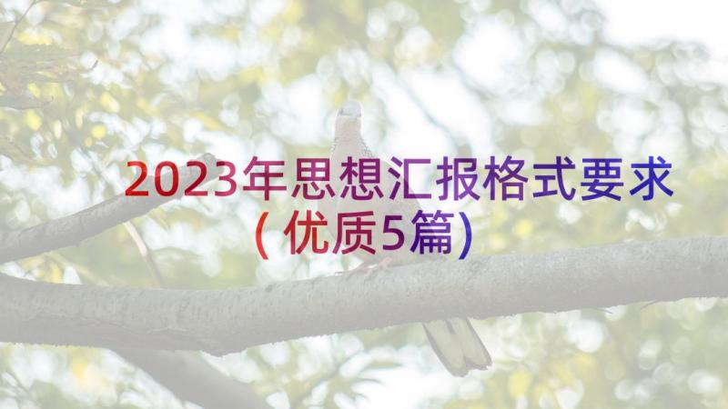 2023年思想汇报格式要求(优质5篇)