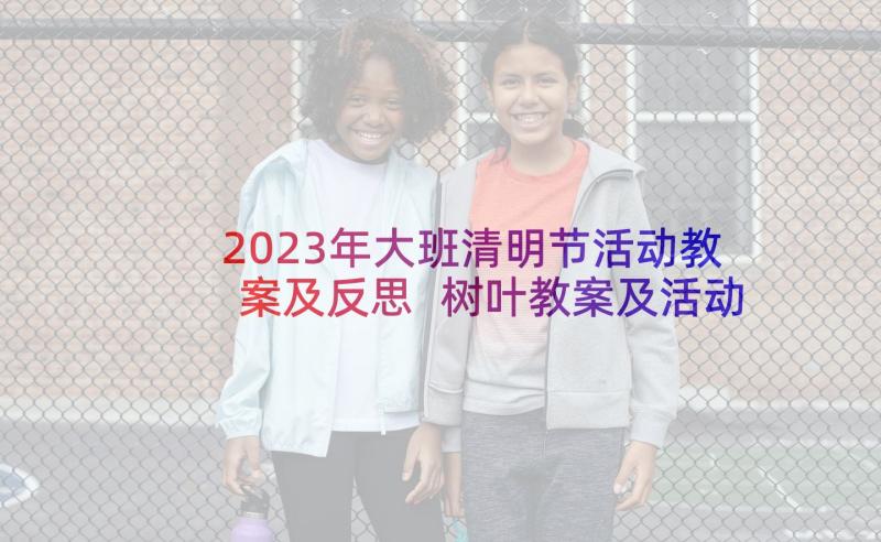 2023年大班清明节活动教案及反思 树叶教案及活动反思(优质6篇)