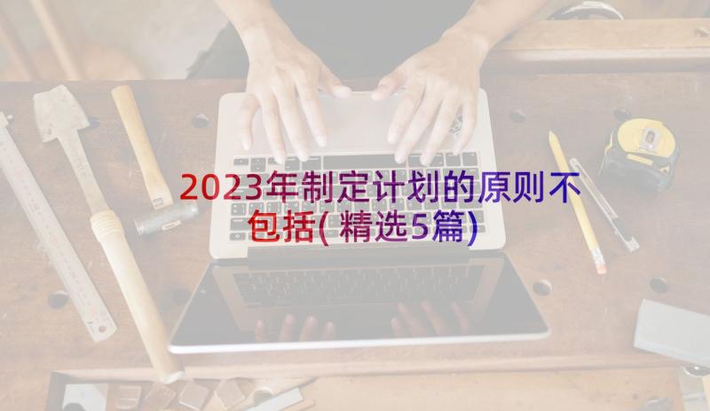 2023年制定计划的原则不包括(精选5篇)