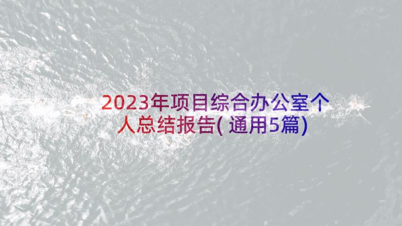 2023年项目综合办公室个人总结报告(通用5篇)