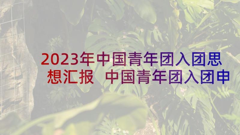 2023年中国青年团入团思想汇报 中国青年团入团申请书(优秀5篇)