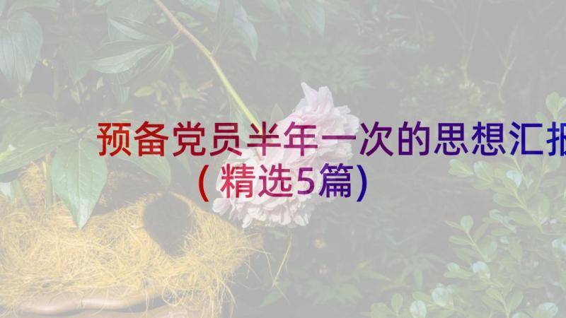 预备党员半年一次的思想汇报(精选5篇)