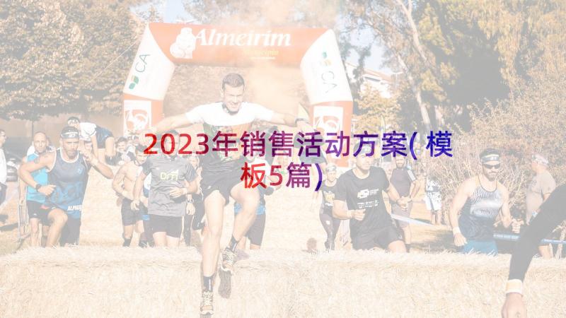 2023年销售活动方案(模板5篇)