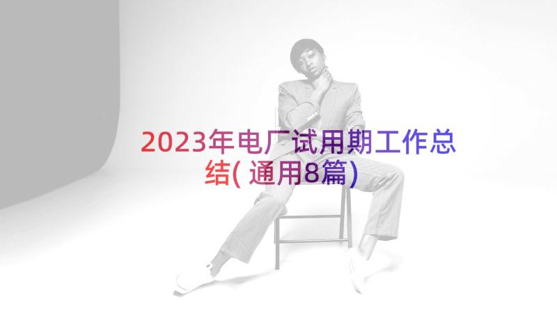 2023年电厂试用期工作总结(通用8篇)