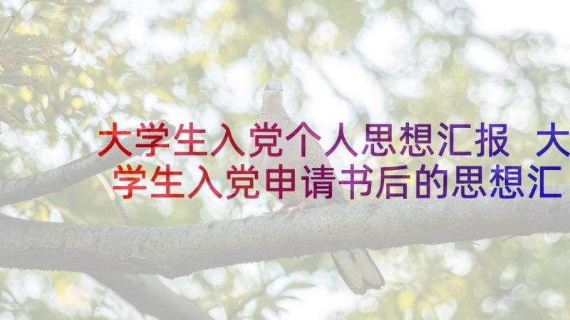 大学生入党个人思想汇报 大学生入党申请书后的思想汇报(汇总5篇)