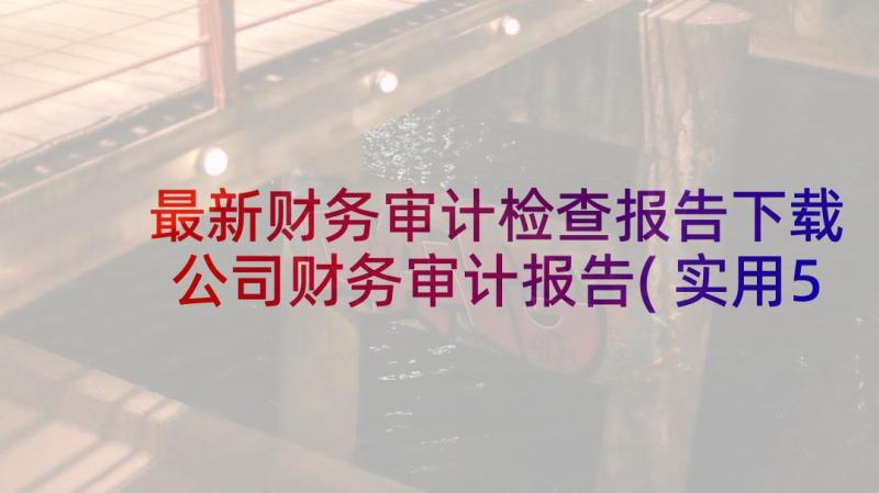 最新财务审计检查报告下载 公司财务审计报告(实用5篇)